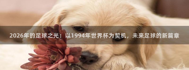 法国杯2026赛程表:2026年的足球之光:以1994年世界杯为契机,未来足球的新篇章