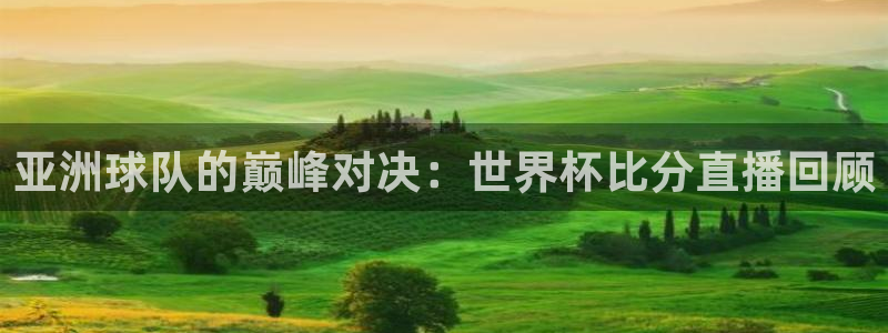 世界杯比赛:亚洲球队的巅峰对决:世界杯比分直播回顾