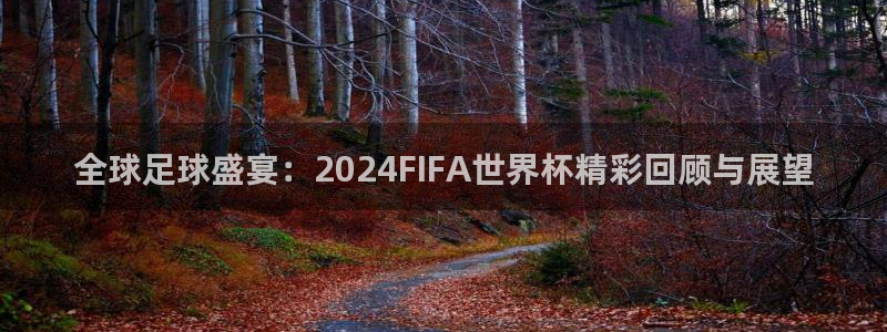 26世界杯:全球足球盛宴:2024FIFA世界杯精彩回顾与展望