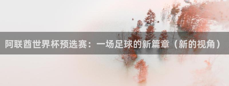 世界杯预选赛直播:阿联酋世界杯预选赛:一场足球的新篇章(新的视角)