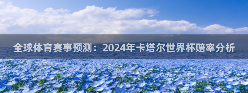 世界杯球赛:全球体育赛事预测:2024年卡塔尔世界杯赔率分析