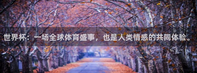 2026世界杯对阵图:世界杯:一场全球体育盛事,也是人类情感的共同体验。