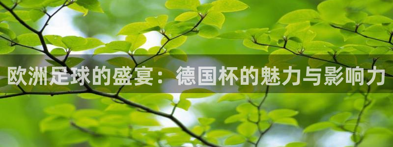世预赛直播:欧洲足球的盛宴:德国杯的魅力与影响力