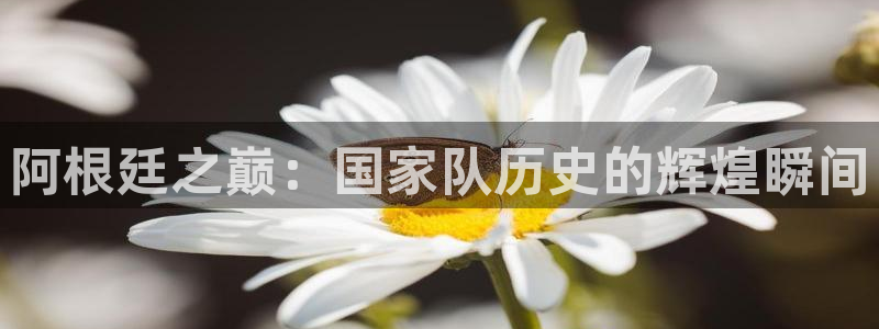 联赛杯直播:阿根廷之巅:国家队历史的辉煌瞬间